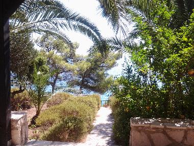 Villa in Ivan Dolac (Splitsko-Dalmatinska) oder Ferienwohnung oder Ferienhaus