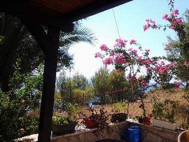 Villa in Ivan Dolac (Splitsko-Dalmatinska) oder Ferienwohnung oder Ferienhaus