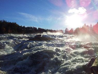 Nur 5 km entfernt. Schwedens gr��ter Wasserfall, der Storforsen. 