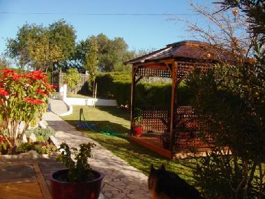 Ferienwohnung in fuseta (Algarve) oder Ferienwohnung oder Ferienhaus