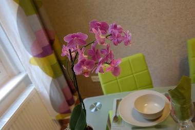 Ferienwohnung in Budapest (Budapest) oder Ferienwohnung oder Ferienhaus