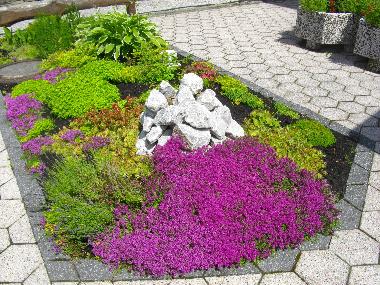 Beet neben dem Hauseingang