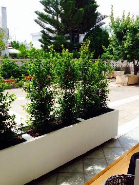 Ferienwohnung in Lecce, San Cataldo (Lecce) oder Ferienwohnung oder Ferienhaus