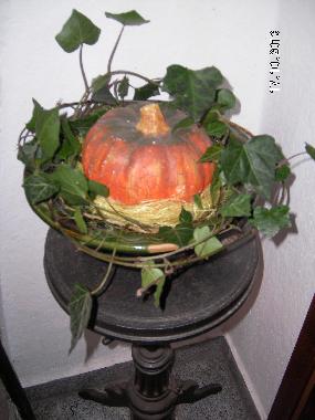 Herbst in der Finkenmhle