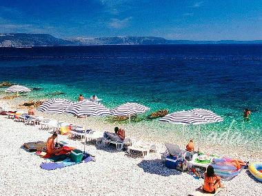 Ferienwohnung in Susnjevica (Istarska) oder Ferienwohnung oder Ferienhaus