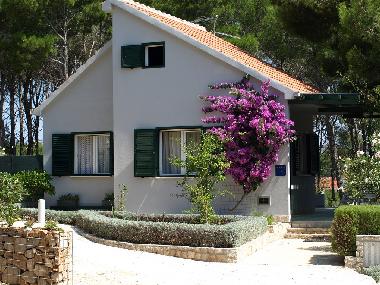 Ferienhaus in Milna (Splitsko-Dalmatinska) oder Ferienwohnung oder Ferienhaus