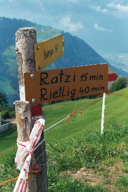 Wandern, Wandern, Wandern........