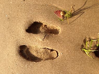 Ferienwohnung in Cababas de tavira (Algarve) oder Ferienwohnung oder Ferienhaus