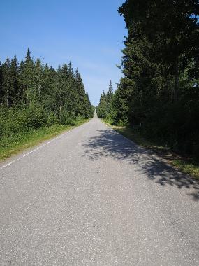 Ferienhaus in Auttoinen (Padasjoki) (Etela-Suomen Laani) oder Ferienwohnung oder Ferienhaus