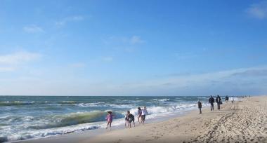 Strand