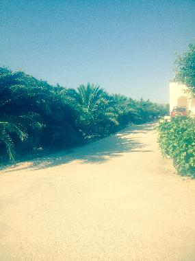 Villa in PAROS (Kyklades) oder Ferienwohnung oder Ferienhaus