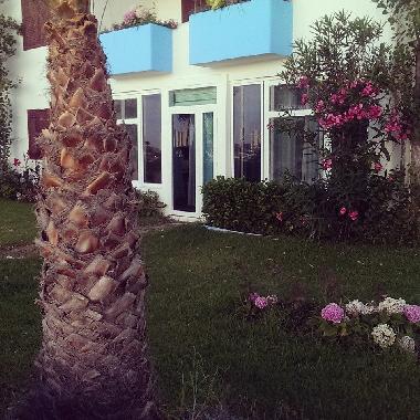 Ferienwohnung in Tetouan (Tetouan) oder Ferienwohnung oder Ferienhaus