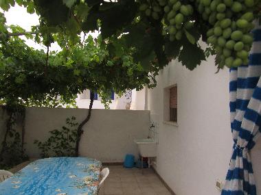 Pension in  (Lecce) oder Ferienwohnung oder Ferienhaus
