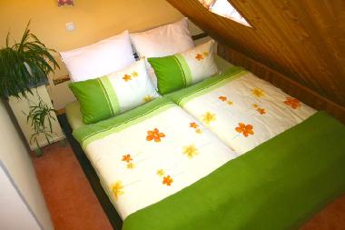 Ferienwohnung in Crottendorf (Erzgebirge) oder Ferienwohnung oder Ferienhaus