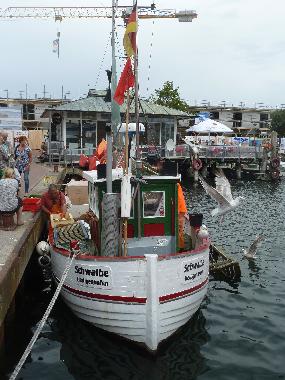 Ferienwohnung in Heiligenhafen (Ostsee-Festland) oder Ferienwohnung oder Ferienhaus