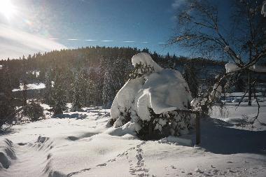 Garten im Winter