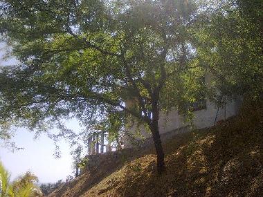 Ferienhaus in 10000 (Piura) oder Ferienwohnung oder Ferienhaus