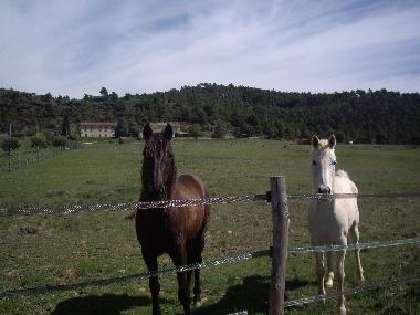 Ferienwohnung in aups (Var) oder Ferienwohnung oder Ferienhaus