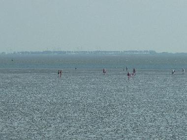 Ferienwohnung in Bsum (Nordsee-Festland) oder Ferienwohnung oder Ferienhaus