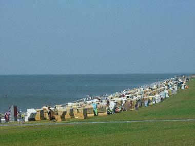 Ferienwohnung in Bsum (Nordsee-Festland) oder Ferienwohnung oder Ferienhaus