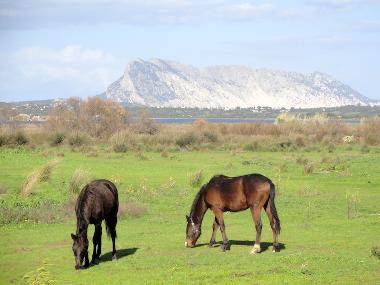 Ferienhaus in San Teodoro (Olbia-Tempio) oder Ferienwohnung oder Ferienhaus