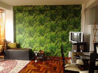 Ferienwohnung in 00000 (Cusco) oder Ferienwohnung oder Ferienhaus