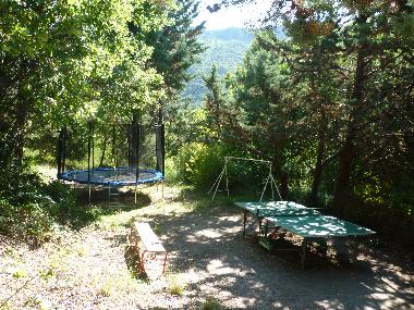 F�r Bewegung ist gesorgt!