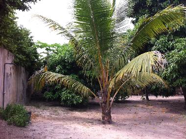 Villa in lom� (Lome) oder Ferienwohnung oder Ferienhaus