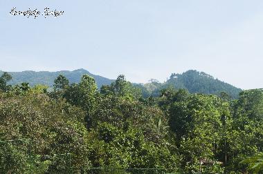 Ferienhaus in Elkaduwa (Matale) oder Ferienwohnung oder Ferienhaus
