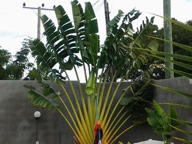 Villa in Calodyne (Pereybere) oder Ferienwohnung oder Ferienhaus