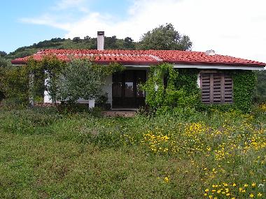 Ansicht von Osten im Fr�hjahr