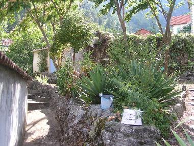 Ferienwohnung in Venaco (Haute-Corse) oder Ferienwohnung oder Ferienhaus