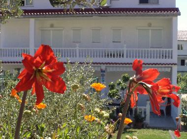 Balkon Wohnung Tina -erste etage