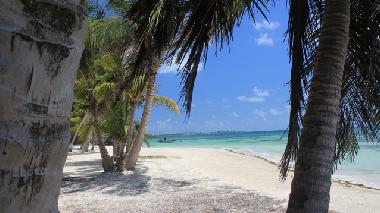 Ferienhaus in san andres (San Andres y Providencia) oder Ferienwohnung oder Ferienhaus