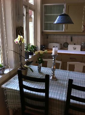 Large live-in kitchen