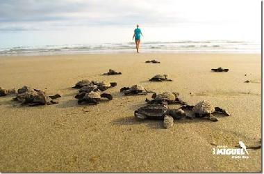 Ferienwohnung in Bejuco (Guanacaste) oder Ferienwohnung oder Ferienhaus