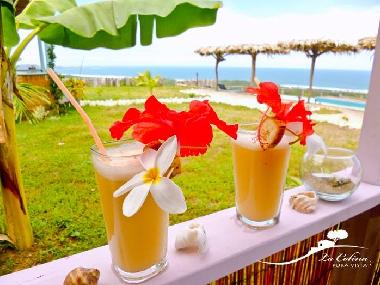 Ferienwohnung in Bejuco (Guanacaste) oder Ferienwohnung oder Ferienhaus