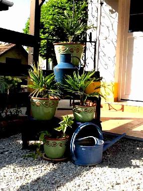 Pension in Pet�fisz�ll�s (Bacs-Kiskun) oder Ferienwohnung oder Ferienhaus