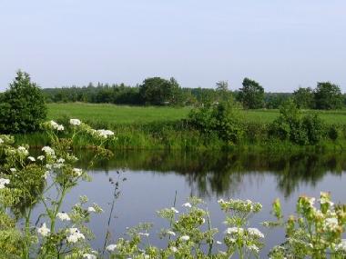 Gew�sser beim Ostfriesland-Wanderweg
