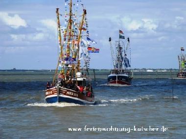 Krabbenkutterregatta Neuharlingersiel