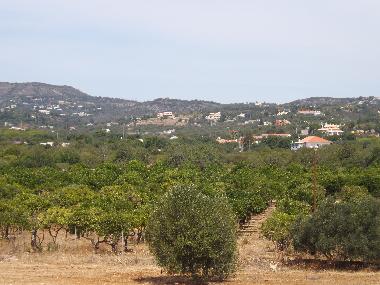 Ferienwohnung in St. Barabara de nexe / Bela Salema (Algarve) oder Ferienwohnung oder Ferienhaus