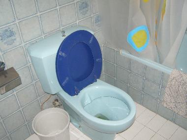 Villa in GIRONA (Girona) oder Ferienwohnung oder Ferienhaus