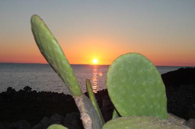 Villa in Casarano (Lecce) oder Ferienwohnung oder Ferienhaus