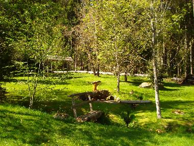 Ferienhaus in Feldberg-Falkau (Schwarzwald) oder Ferienwohnung oder Ferienhaus