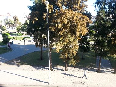 Ferienwohnung in tanger (Tanger) oder Ferienwohnung oder Ferienhaus