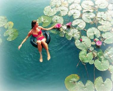 Ferienwohnung in Heviz (Heves) oder Ferienwohnung oder Ferienhaus