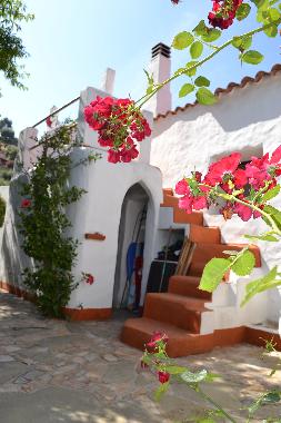 Hier geht es zur Dachterrasse hoch.