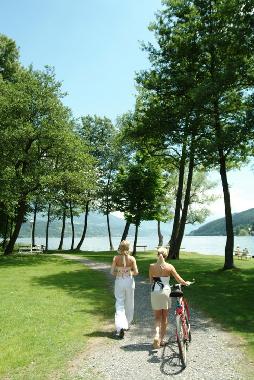 Pension in Seeboden am Millsttter See (Oberkrnten) oder Ferienwohnung oder Ferienhaus