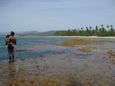 Pension in el limon (Samana) oder Ferienwohnung oder Ferienhaus