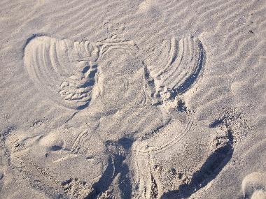 Ferienhaus in Bodstedt (Fischland-Dar-Zingst) oder Ferienwohnung oder Ferienhaus